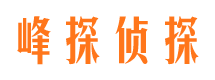 西充外遇调查取证